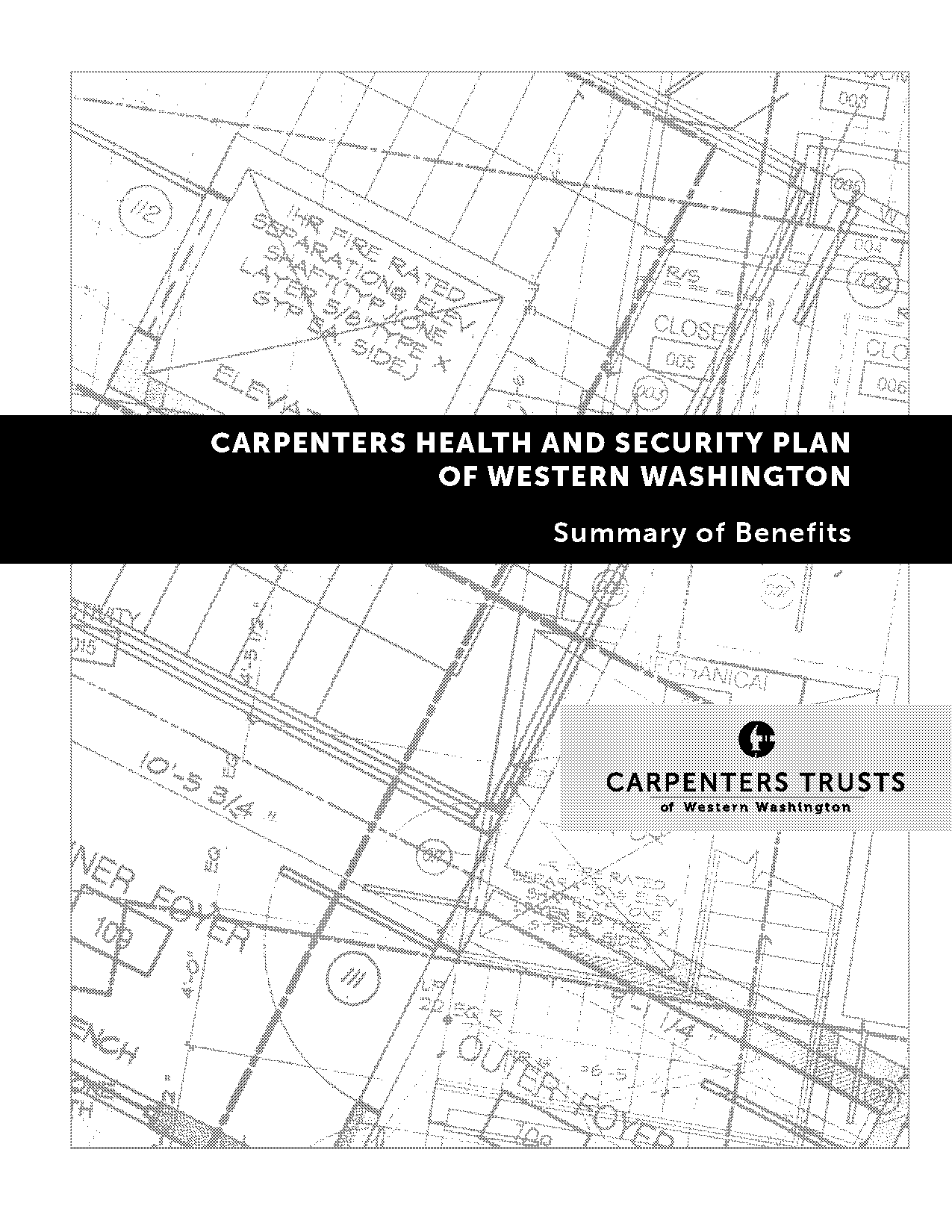 carpenters health and security plan of western washington