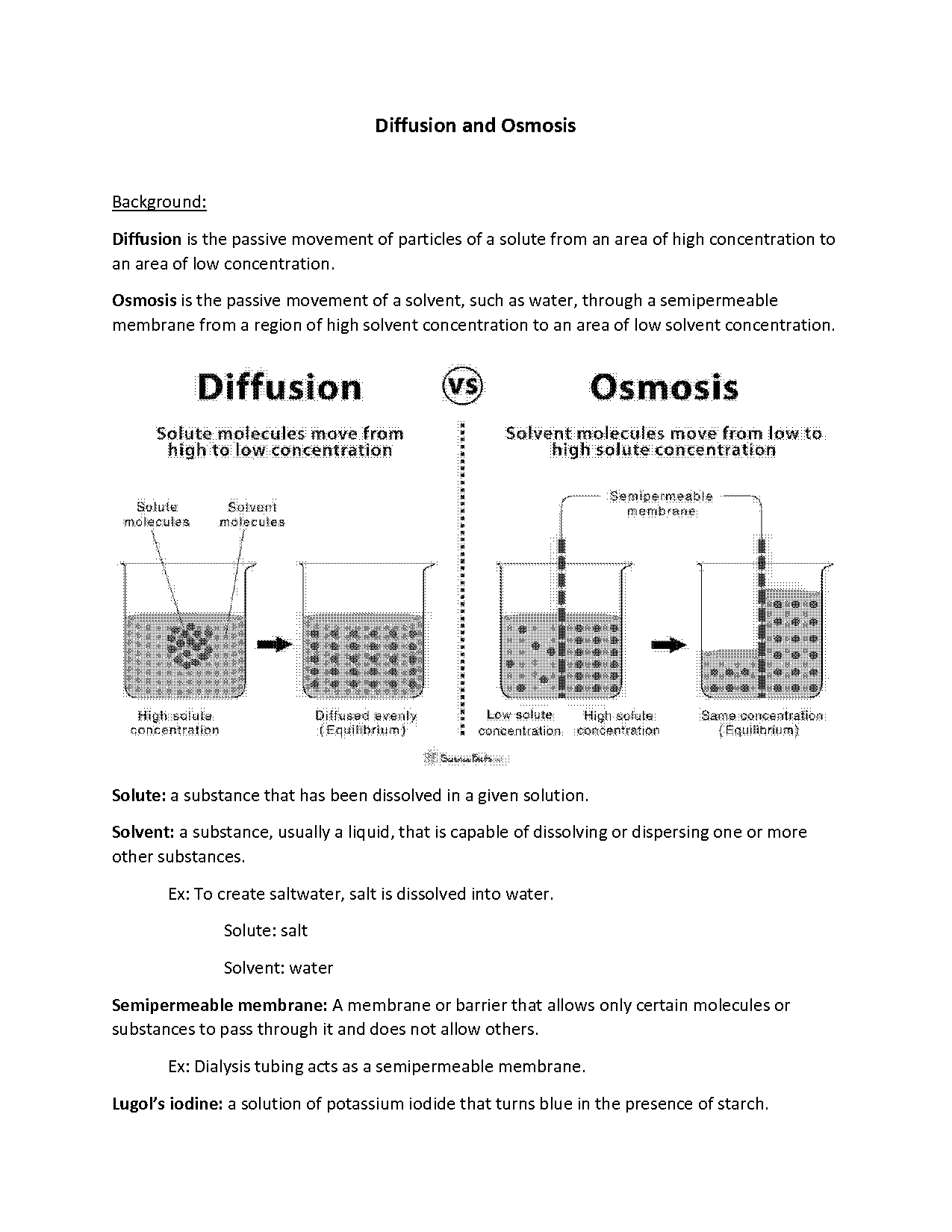 diffusion and osmosis worksheet high school pdf