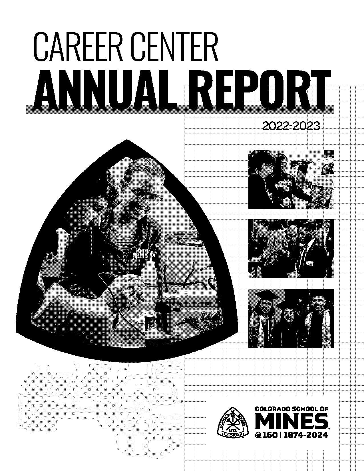 alkali metals ltd annual report